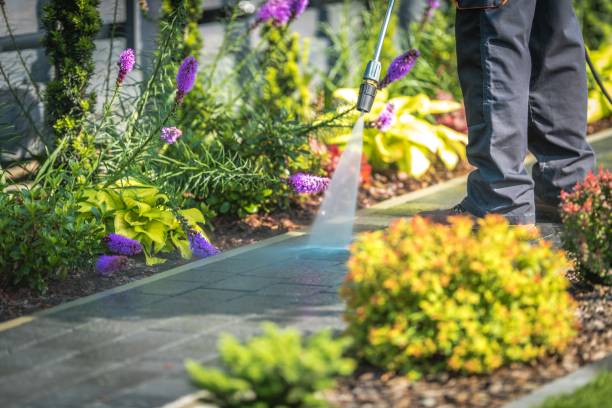 Reliable Waterloo, IL Pressure Washing Services Solutions